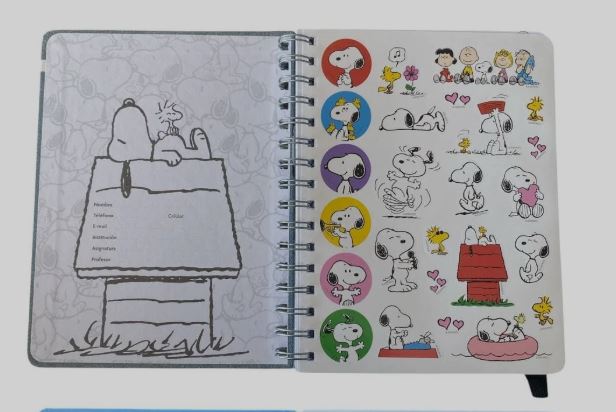 LIBRETA ESPIRAL SNOOPY HOJAS LINEADAS 96HJS A5